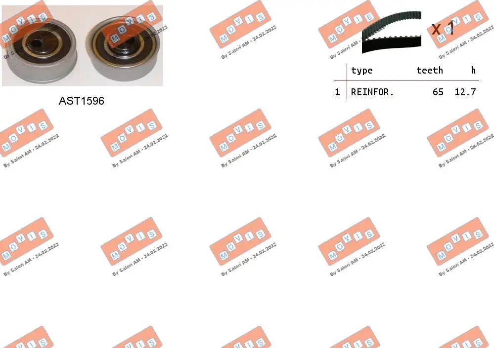 Timing Belt Kit (ASTK1245)