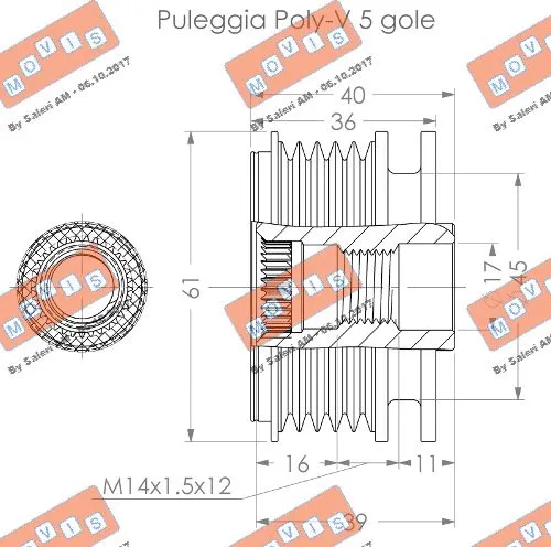 Alternator Freewheel Clutch