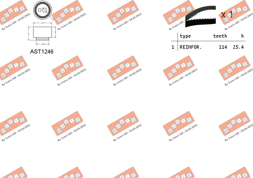 Timing Belt Kit