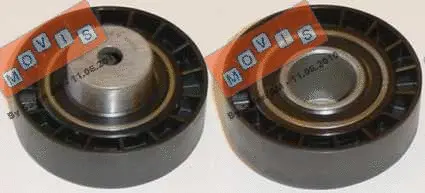 Deflection/Guide Pulley, V-ribbed belt (AST1166)