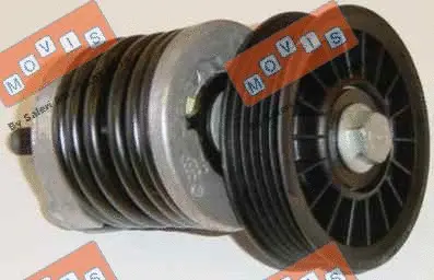 Belt Tensioner, V-ribbed belt (AST1374)