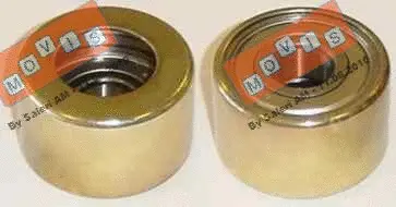 Deflection/Guide Pulley, timing belt (AST1819)