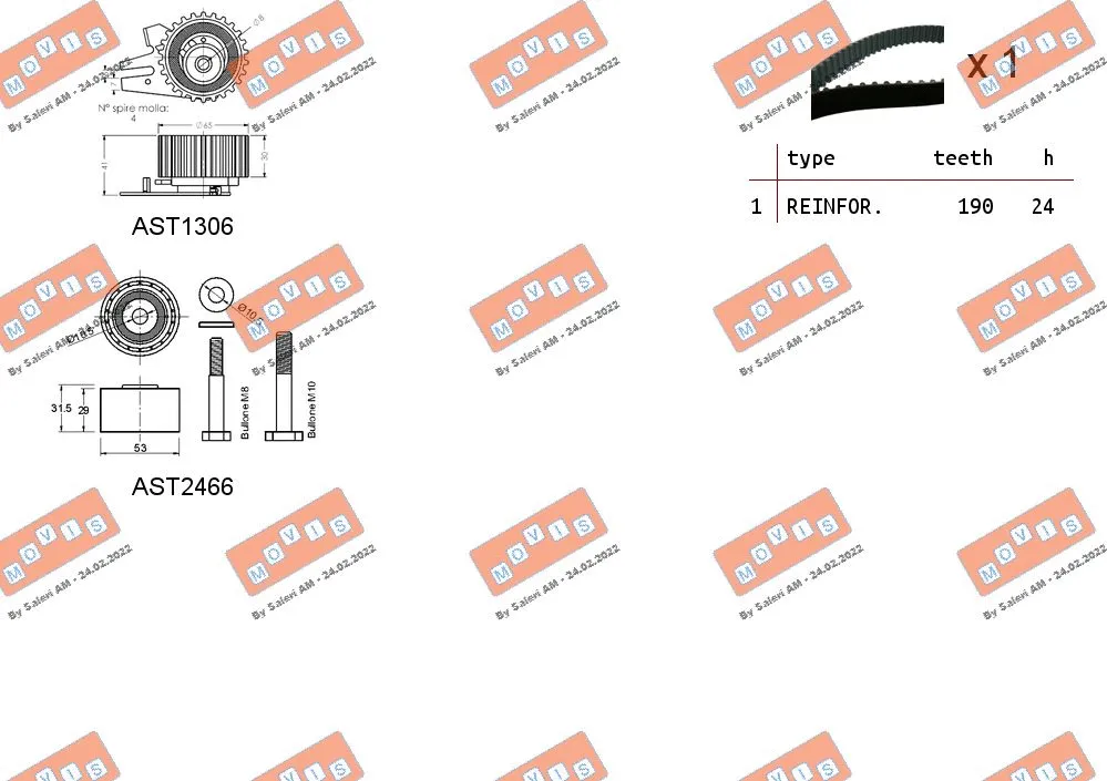 Timing Belt Kit