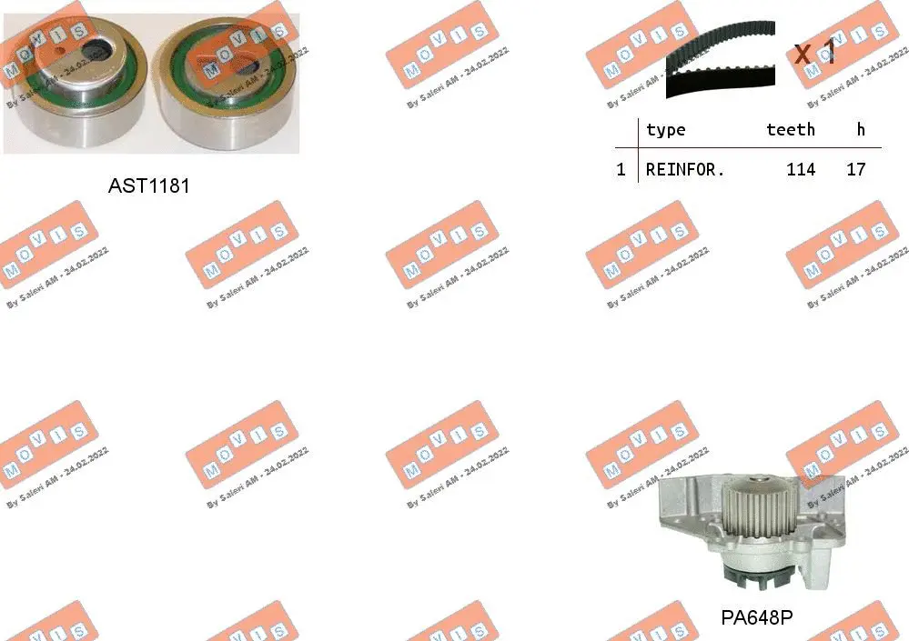 Water Pump & Timing Belt Kit (ASTK1022PA)