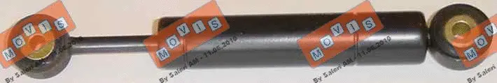 Vibration Damper, V-ribbed belt (AST2417)