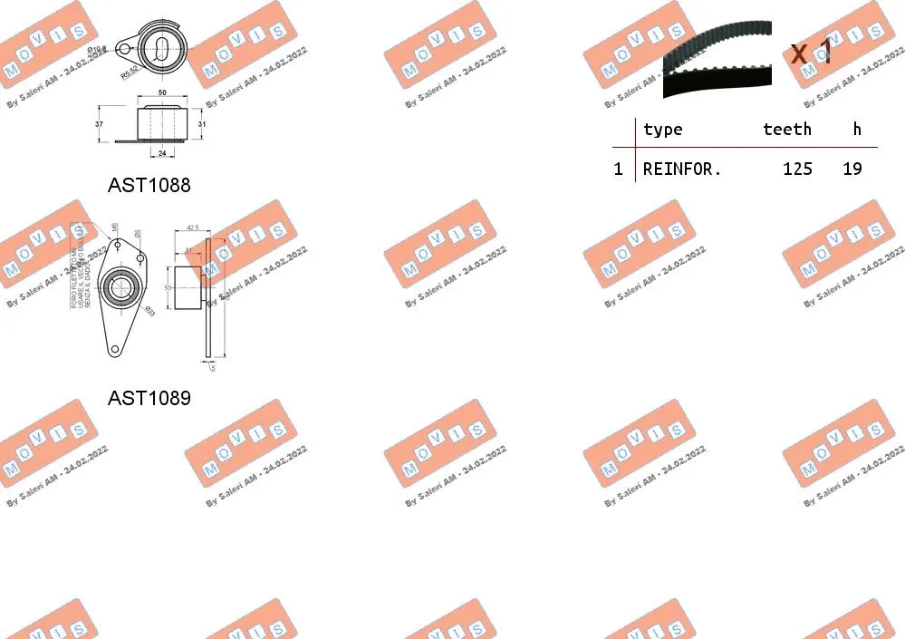 Timing Belt Kit