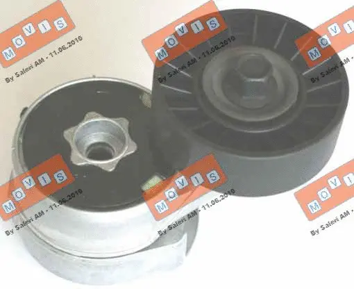 Belt Tensioner, V-ribbed belt (AST3079)