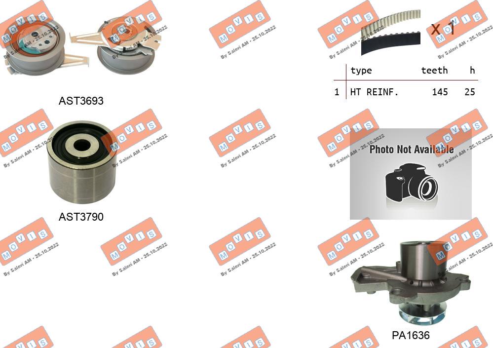 Water Pump & Timing Belt Kit (ASTK1181PA)
