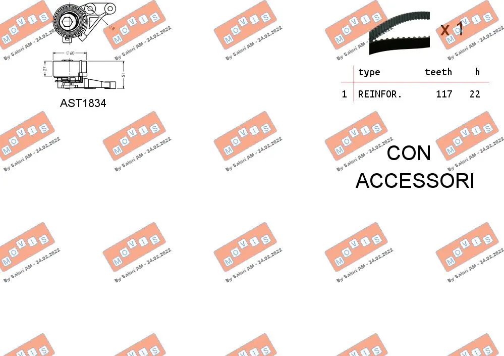 Timing Belt Kit