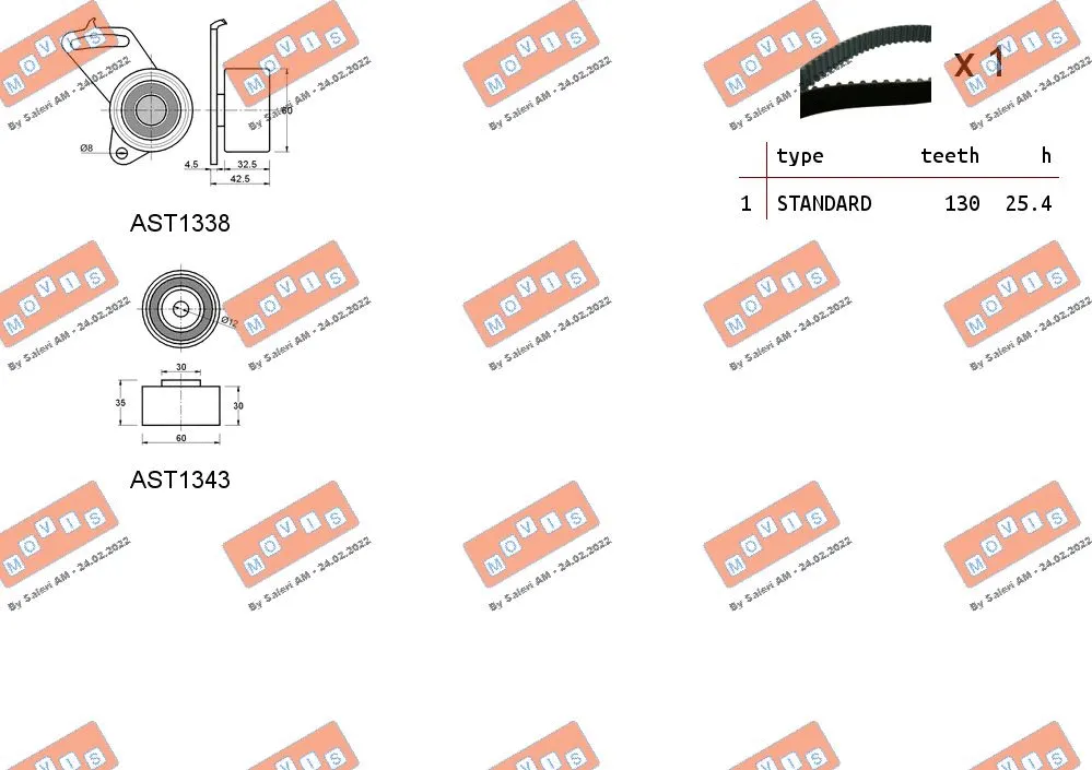 Timing Belt Kit