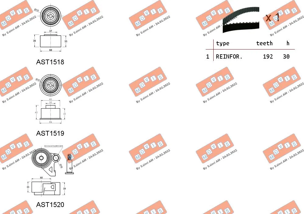Timing Belt Kit