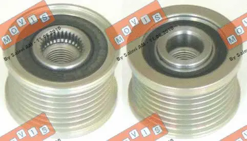 Alternator Freewheel Clutch (AST2929)