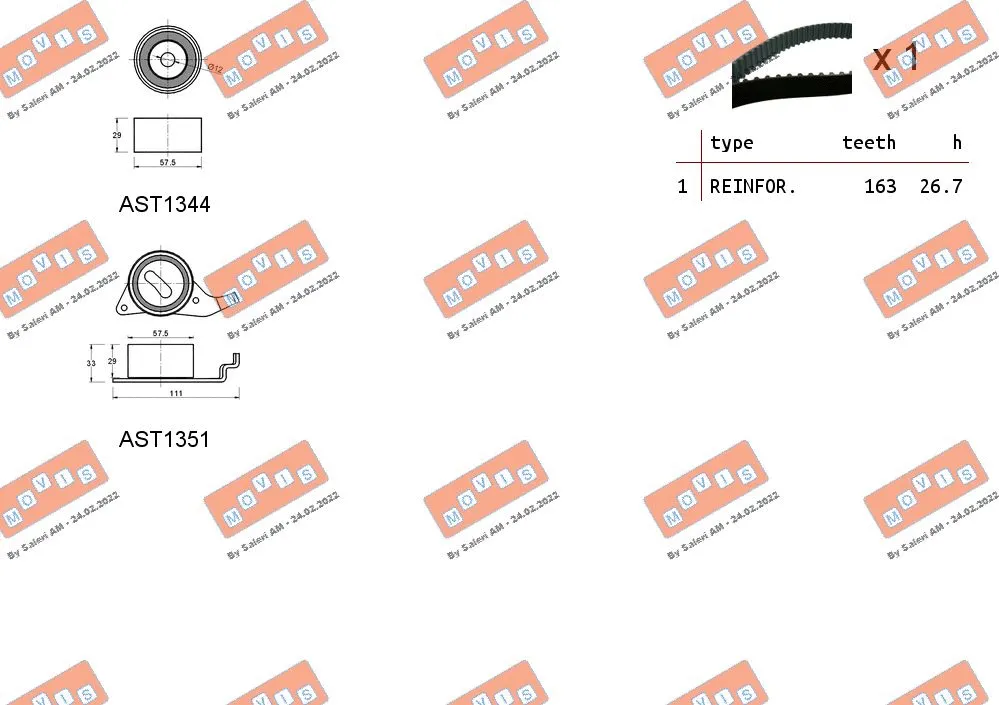 Timing Belt Kit