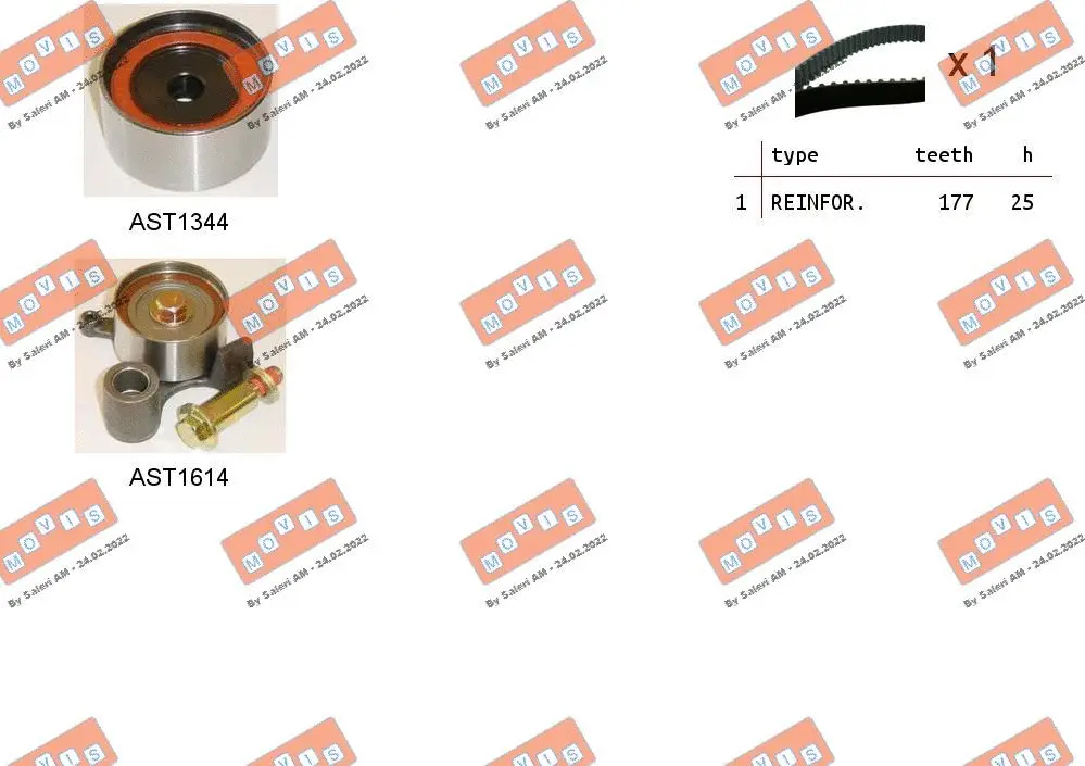 Timing Belt Kit (ASTK1274)