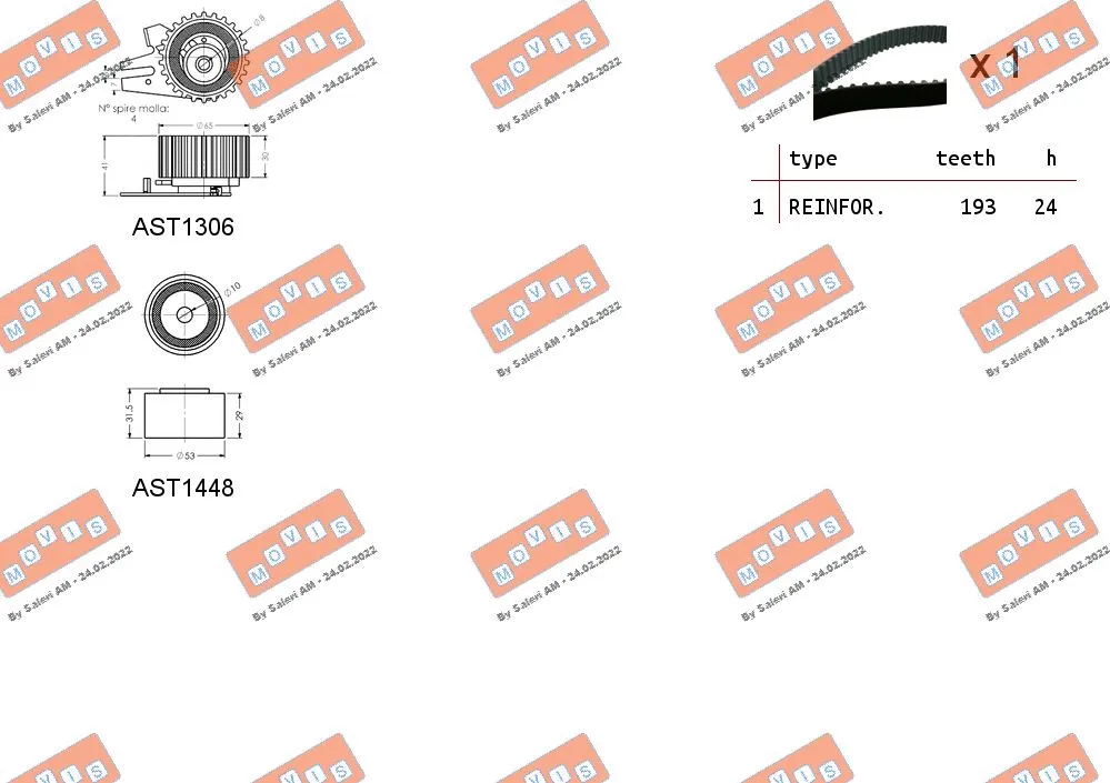 Timing Belt Kit
