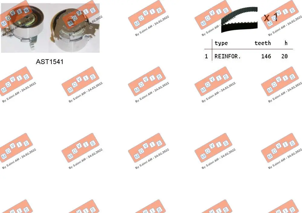 Timing Belt Kit (ASTK0893)