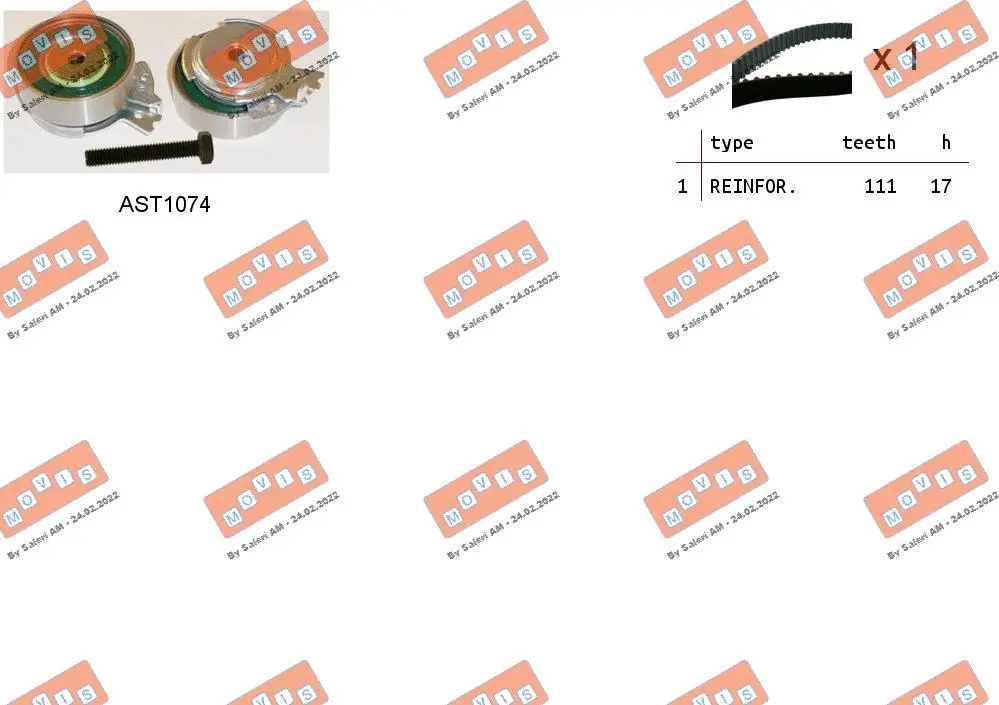 Timing Belt Kit (ASTK0813)