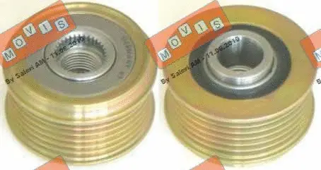 Alternator Freewheel Clutch (AST2937)
