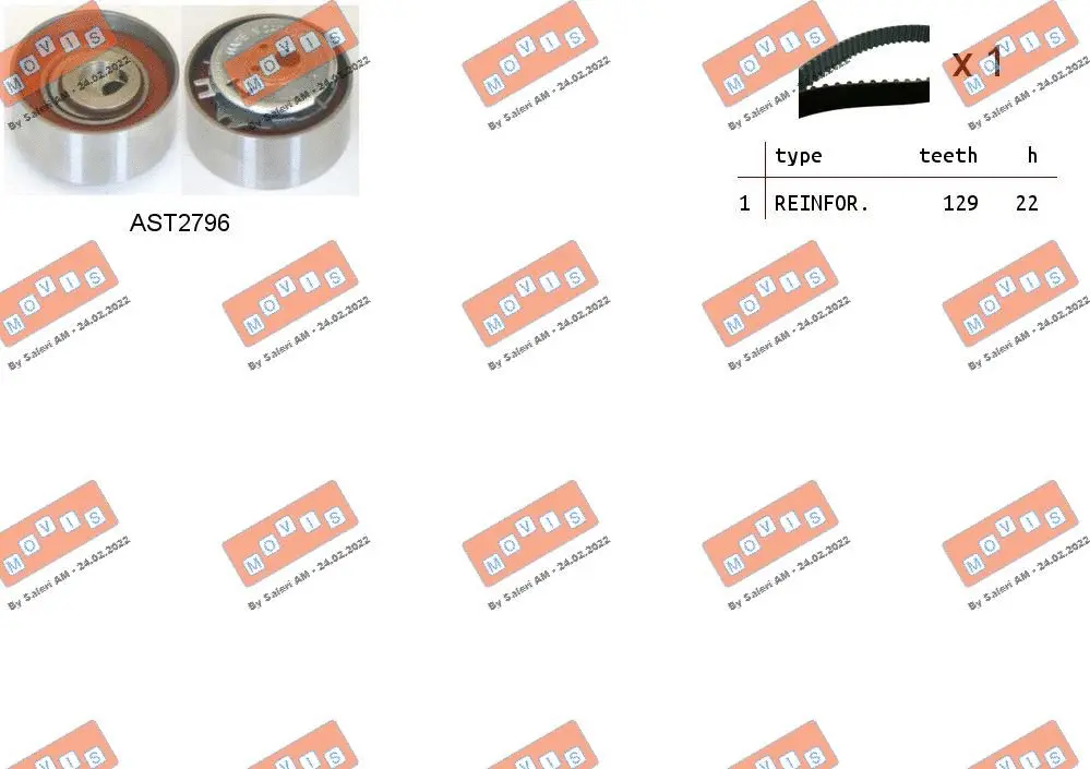 Timing Belt Kit (ASTK1062)