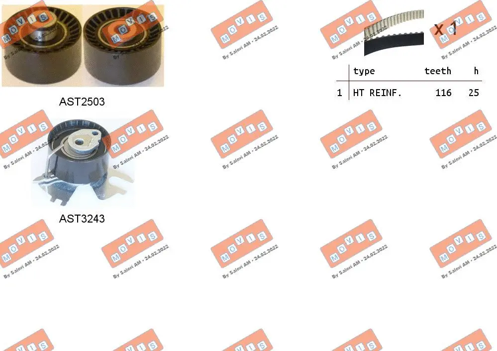 Timing Belt Kit (ASTK1157)