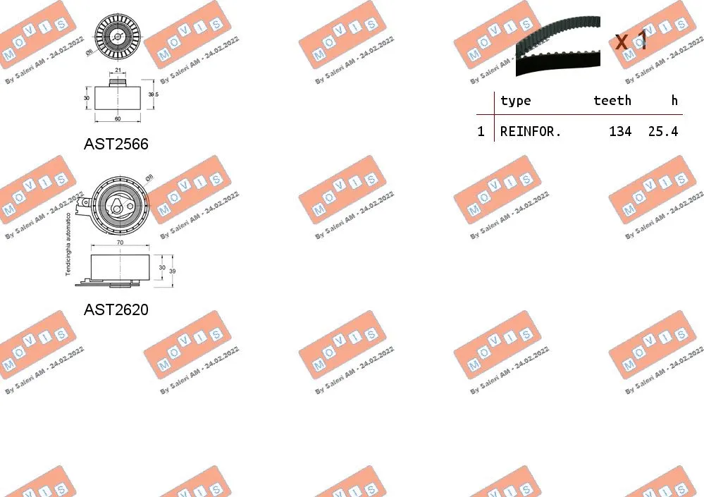 Timing Belt Kit