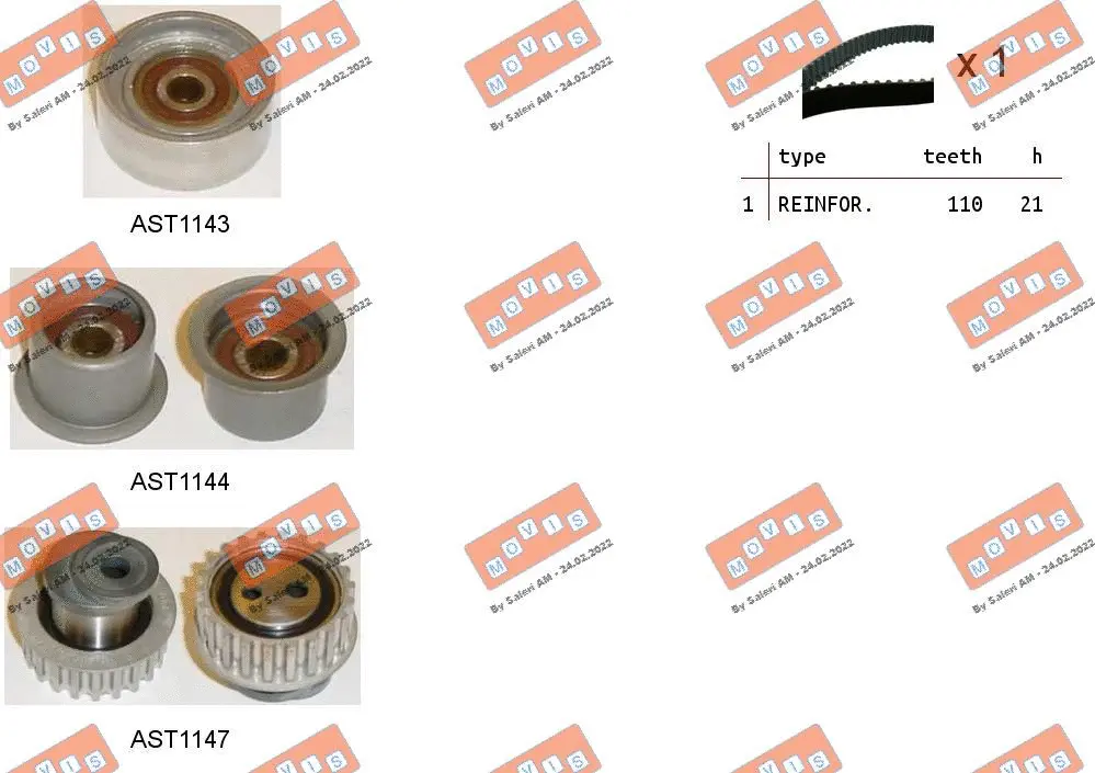 Timing Belt Kit (ASTK1002)