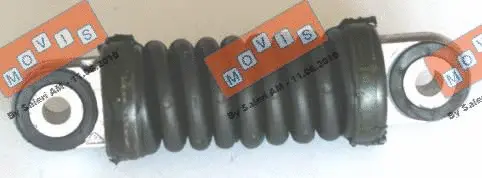 Vibration Damper, V-ribbed belt (AST3043)