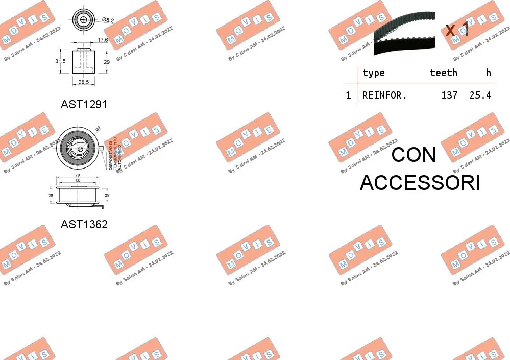 Timing Belt Kit