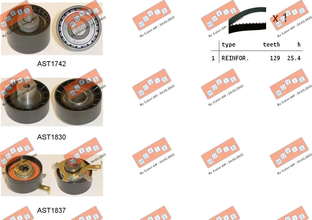 Timing Belt Kit (ASTK1030)