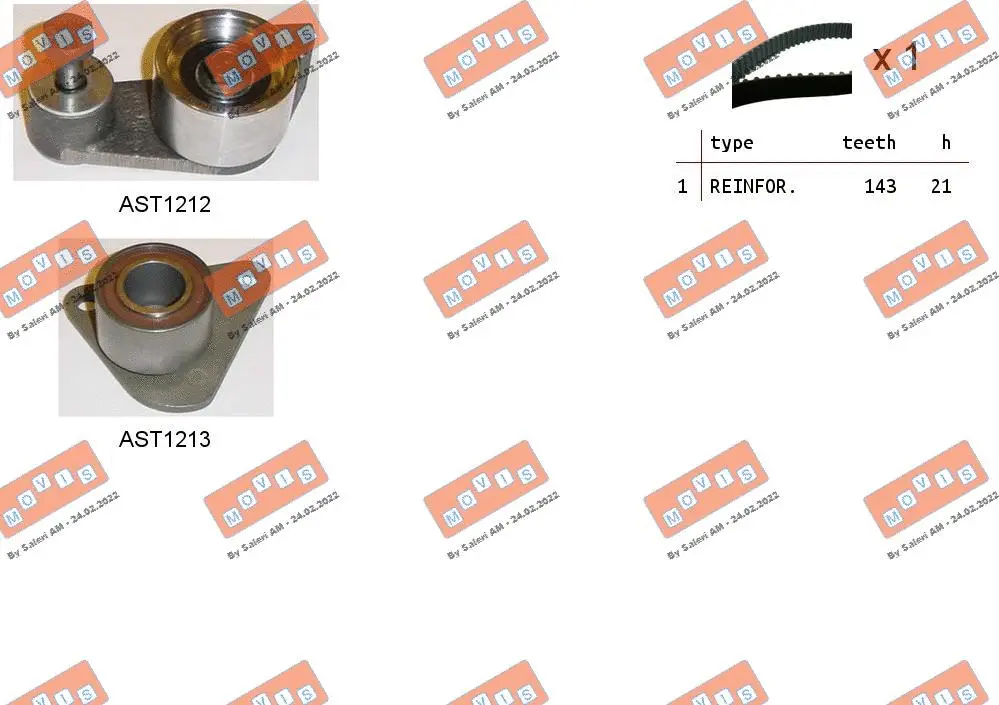 Timing Belt Kit (ASTK1009)