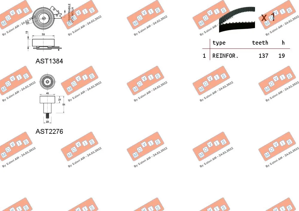 Timing Belt Kit