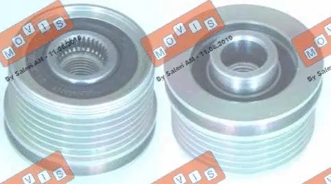 Alternator Freewheel Clutch (AST2967)