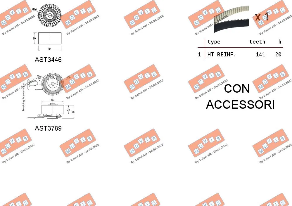 Timing Belt Kit