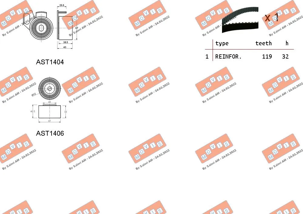 Timing Belt Kit