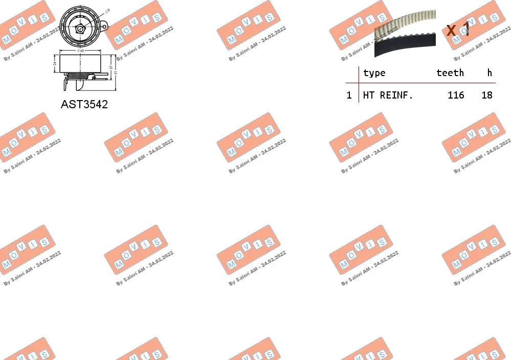 Timing Belt Kit