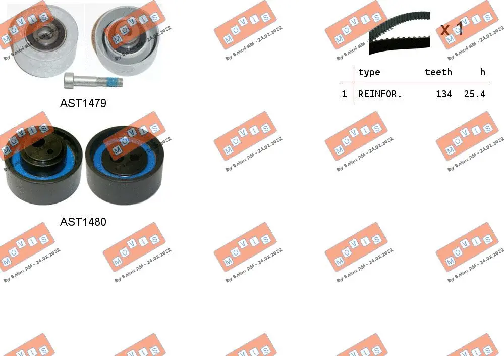 Timing Belt Kit (ASTK1029)