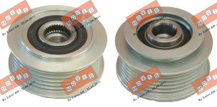 Alternator Freewheel Clutch (AST3369)