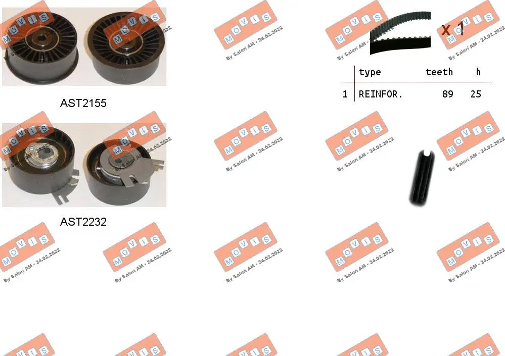 Timing Belt Kit (ASTK0921)