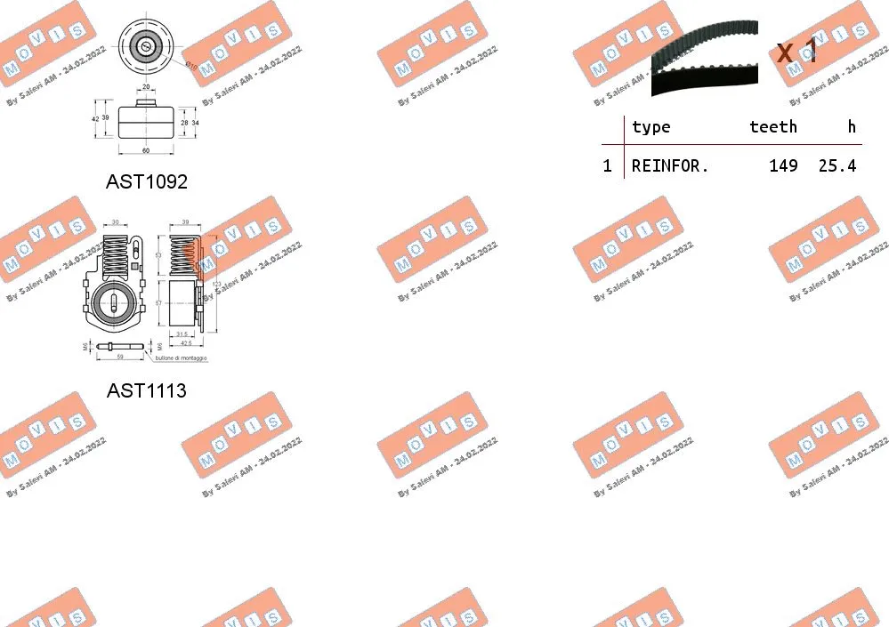 Timing Belt Kit