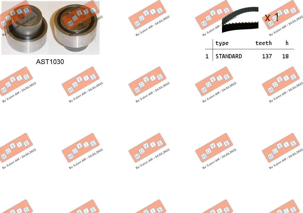 Timing Belt Kit (ASTK0981)