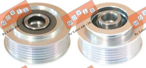 Alternator Freewheel Clutch (AST2067)