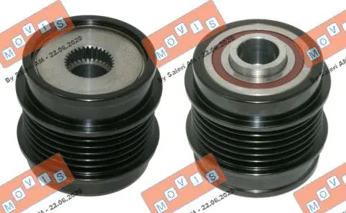 Alternator Freewheel Clutch (AST3874)