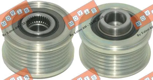 Alternator Freewheel Clutch (AST3821)