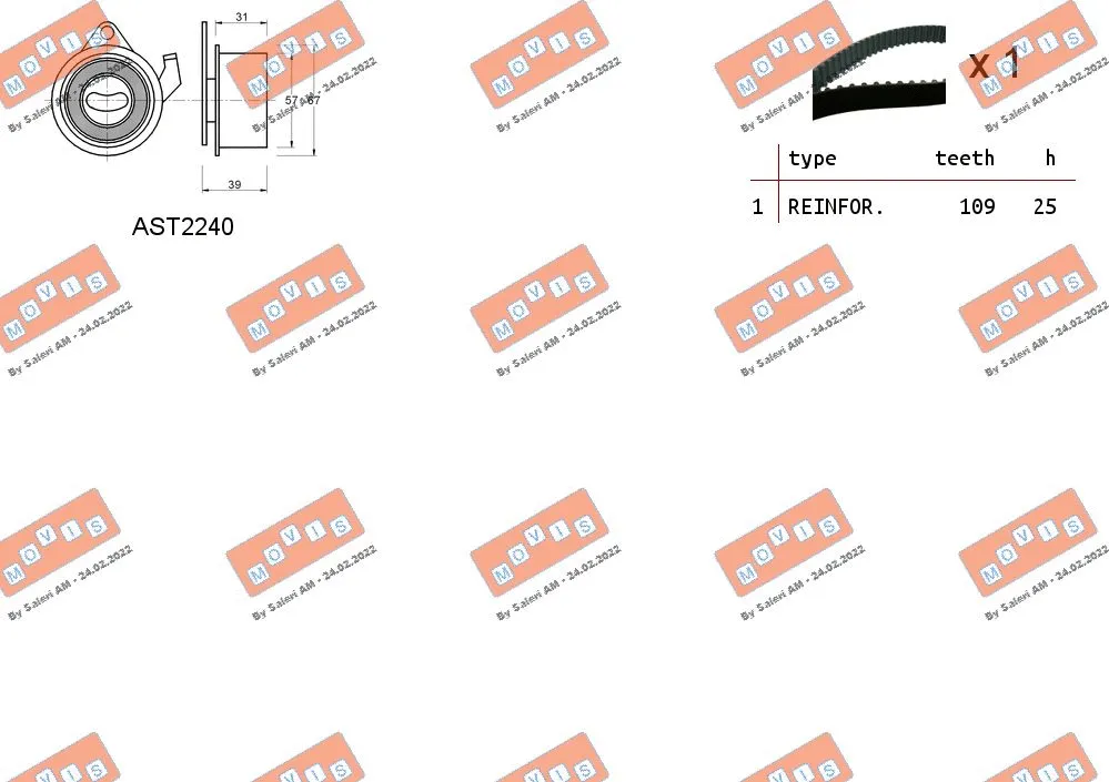 Timing Belt Kit