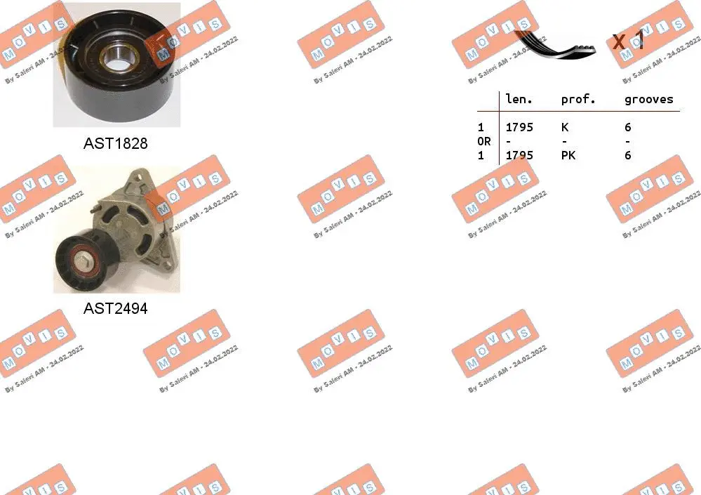 V-Ribbed Belt Set (ASTA0097)