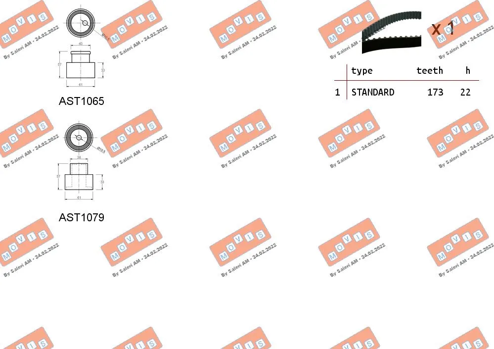 Timing Belt Kit