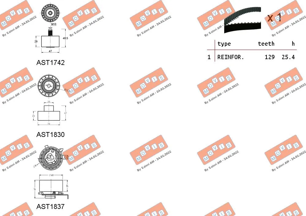Timing Belt Kit