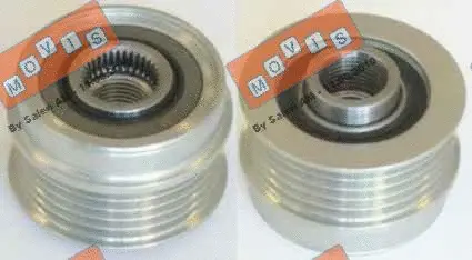 Alternator Freewheel Clutch (AST3176)