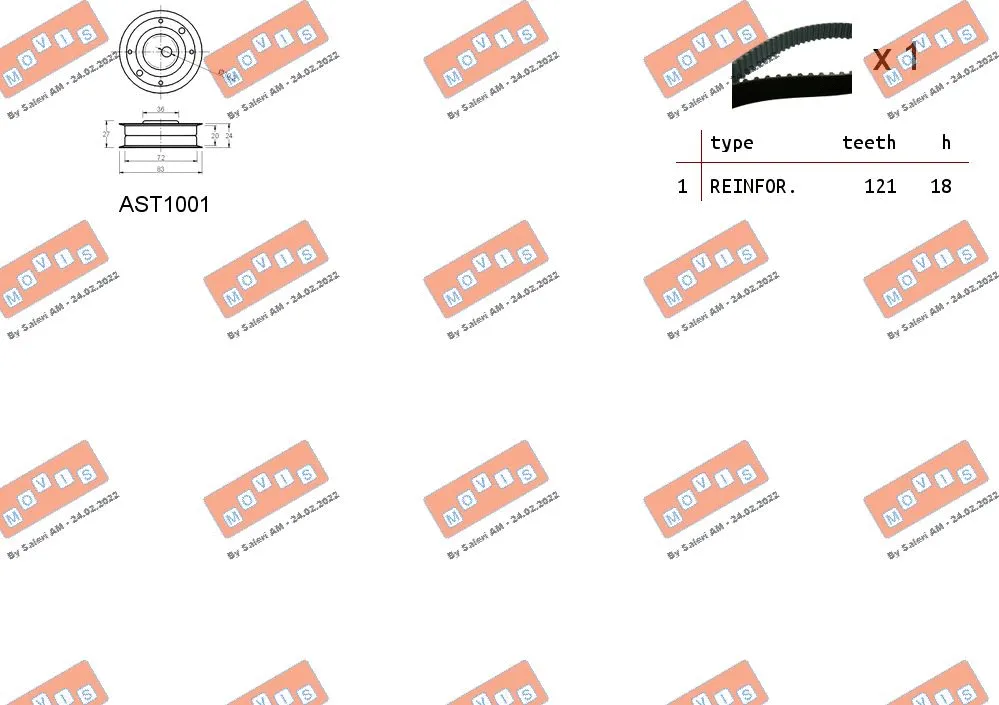 Timing Belt Kit
