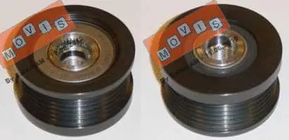 Alternator Freewheel Clutch (AST2239)